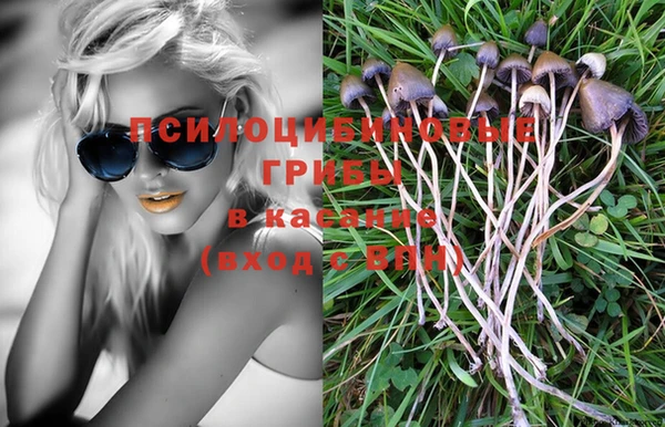 PSILOCYBIN Богданович